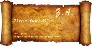 Zintz Adrián névjegykártya